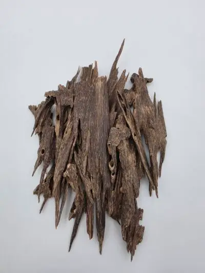 عود هندي (منيبور ) دبل تربل